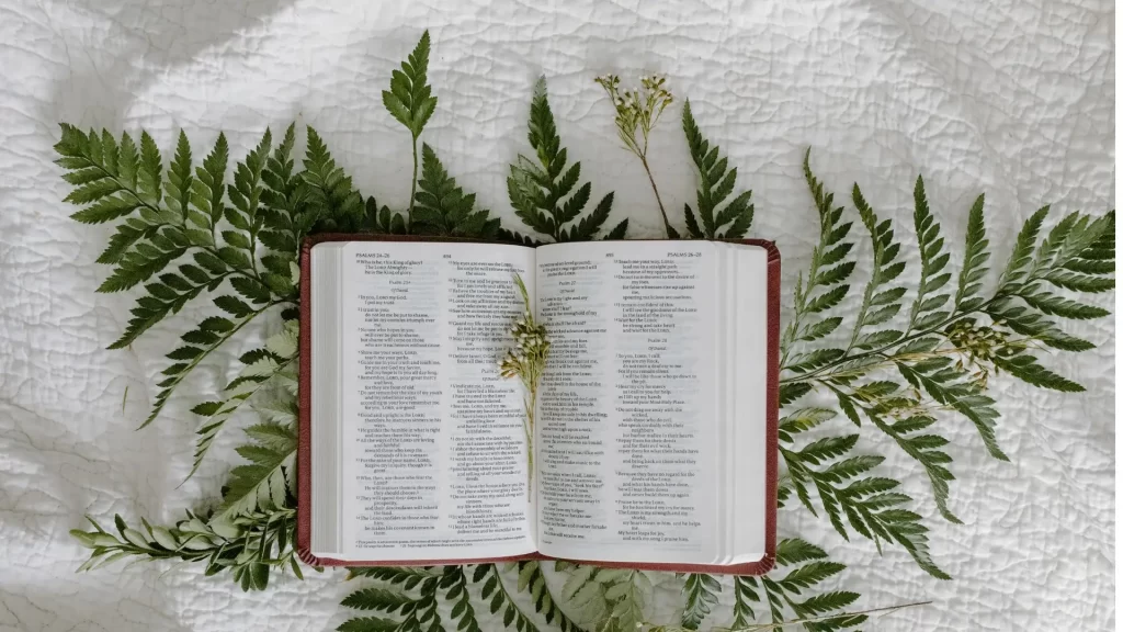 Close-up image of an open Bible with highlighted verses on generosity